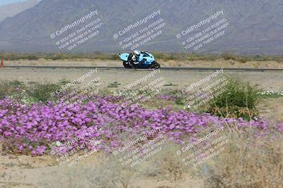 media/Feb-04-2023-SoCal Trackdays (Sat) [[8a776bf2c3]]/Turn 15 Inside Blooming (1050am)/